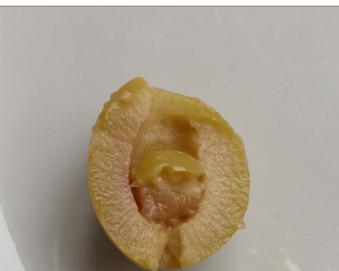 skkkazitel