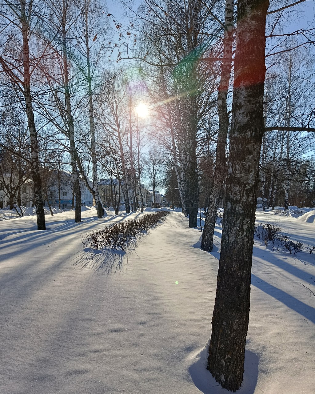 leninogorsk.life
