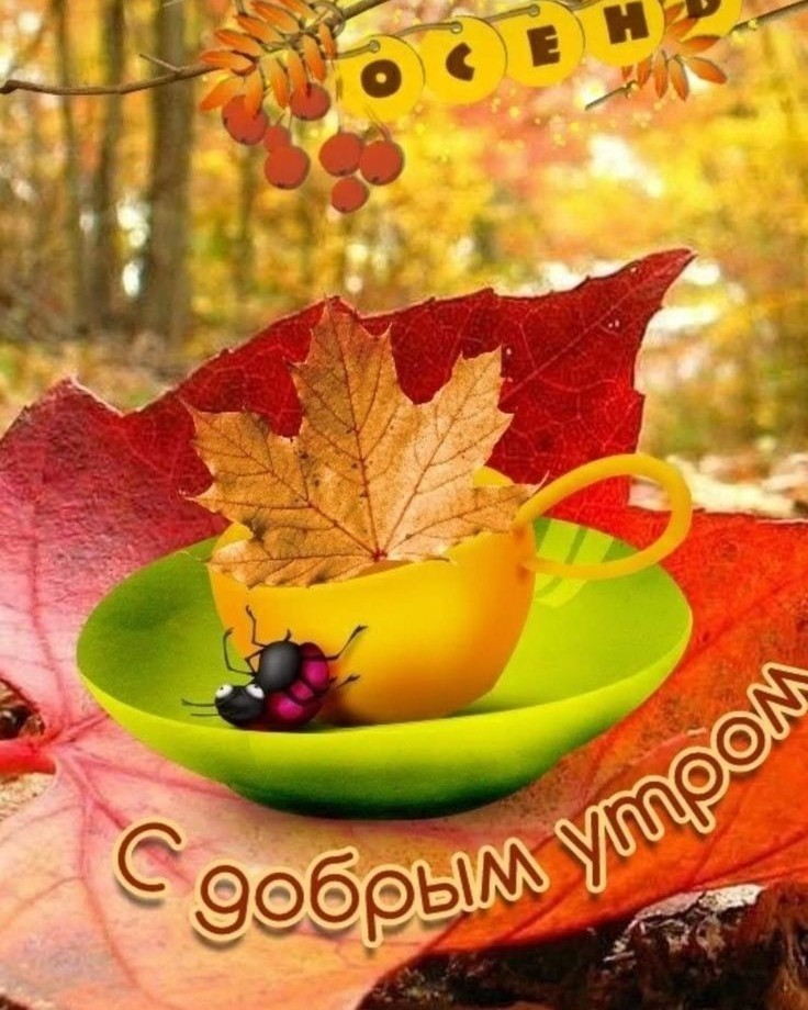 SG_Collection в LOOKY — публикация