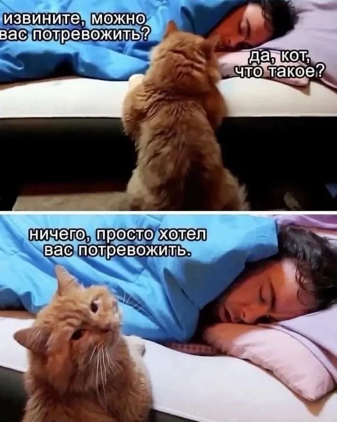 Evgeniy_Smexov в LOOKY — публикация