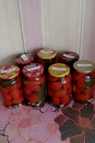 Таня Чаженская в LOOKY. . Сезон заготовок прод...