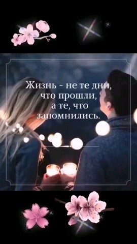 ВОЛК СЕРЫЙ в LOOKY — публикация