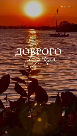 Доброй ночи 🌙