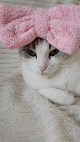 Looky_178773869585202 в LOOKY. . Миляш