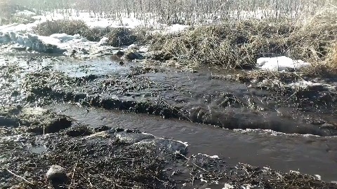 В поисках интересного в LOOKY. . Вот и ВЕСНА пришла.