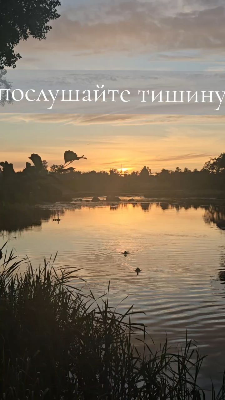 alevtina_fat в LOOKY. . 