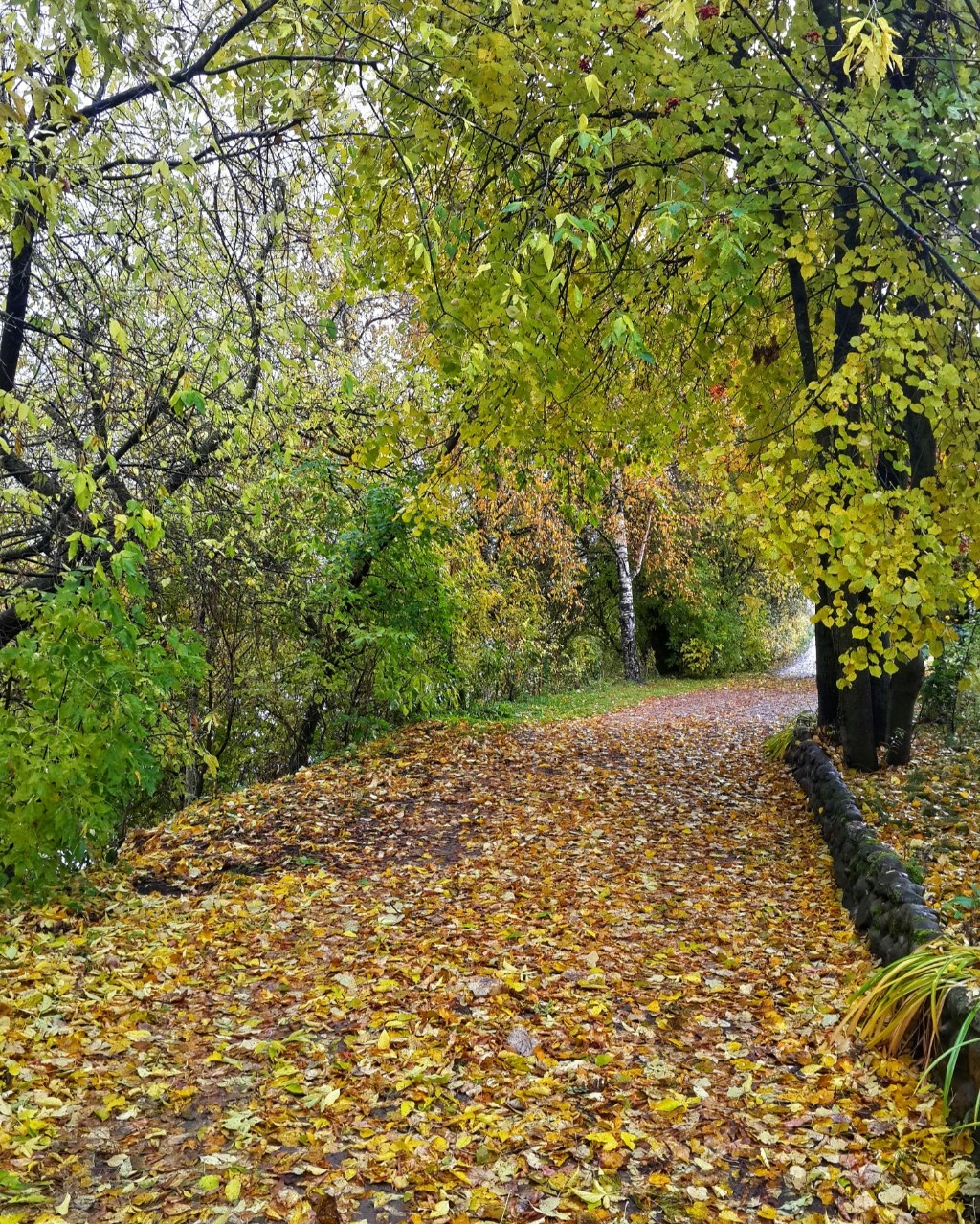 #осень [#тверь ](тверь)[#природа ](природа)[#природароссии ](природароссии)