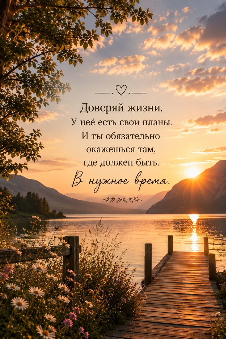 Npuha179 в LOOKY — публикация