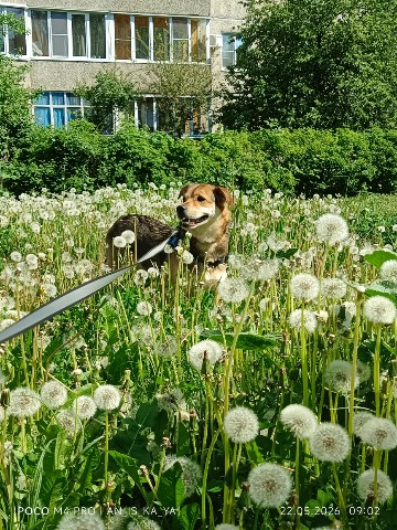 Аннушка в LOOKY. . Выборочно