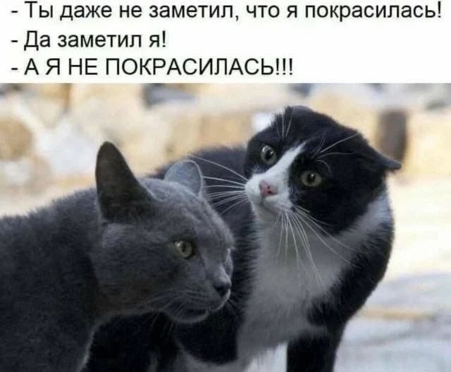 ✨ Сидела женщина скучала 😀