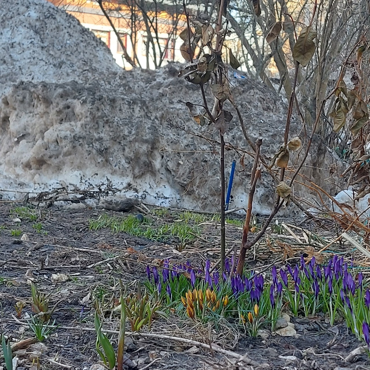 Галина Венн в LOOKY — фото 3