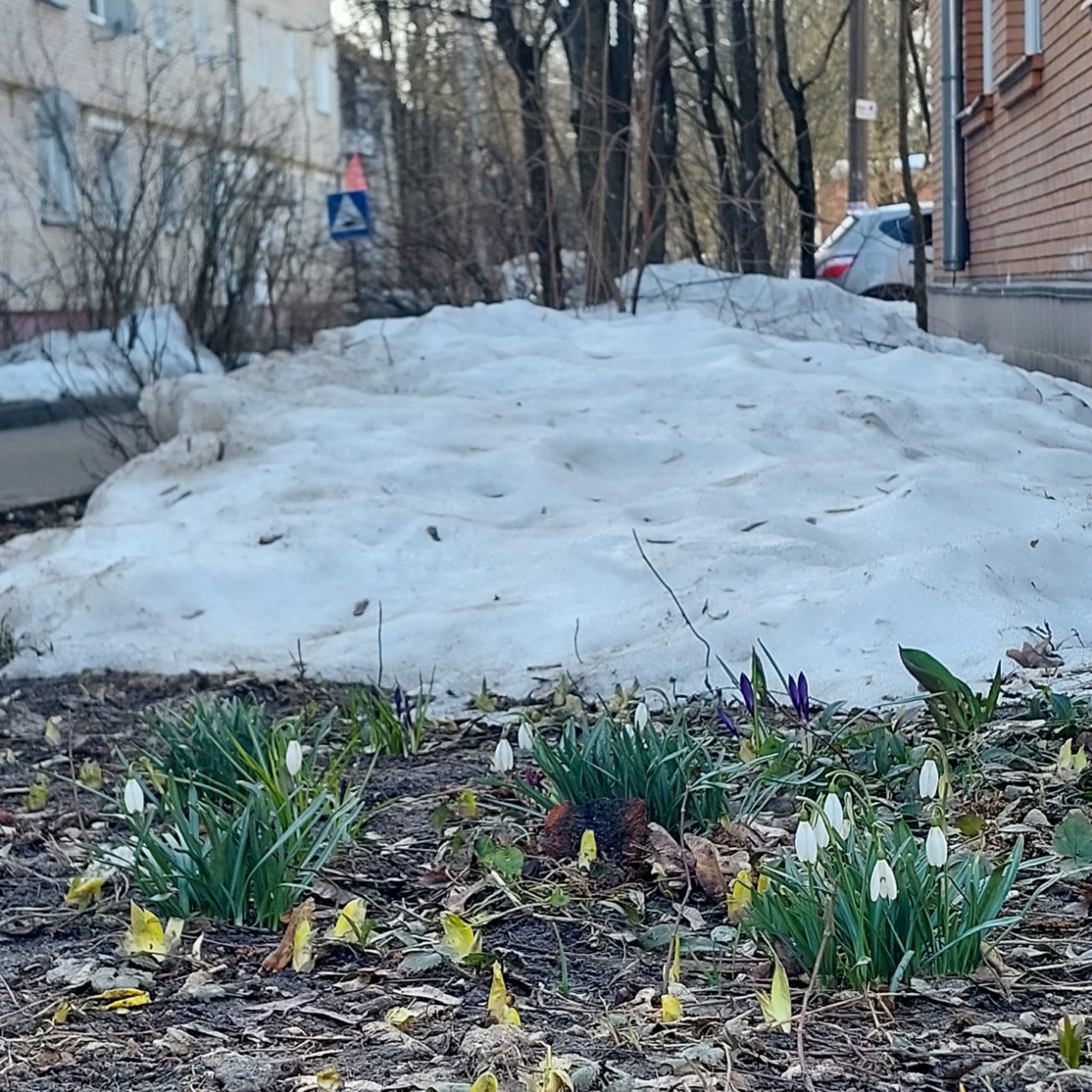 Галина Венн в LOOKY — фото 2