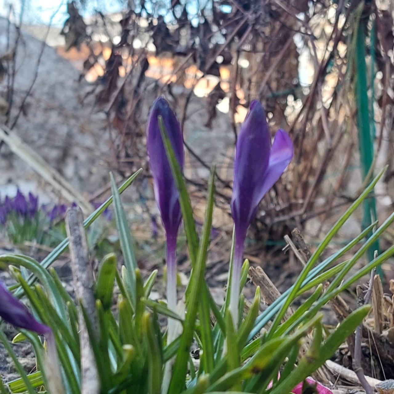 Галина Венн в LOOKY. . 15 марта 2026 Звениг...