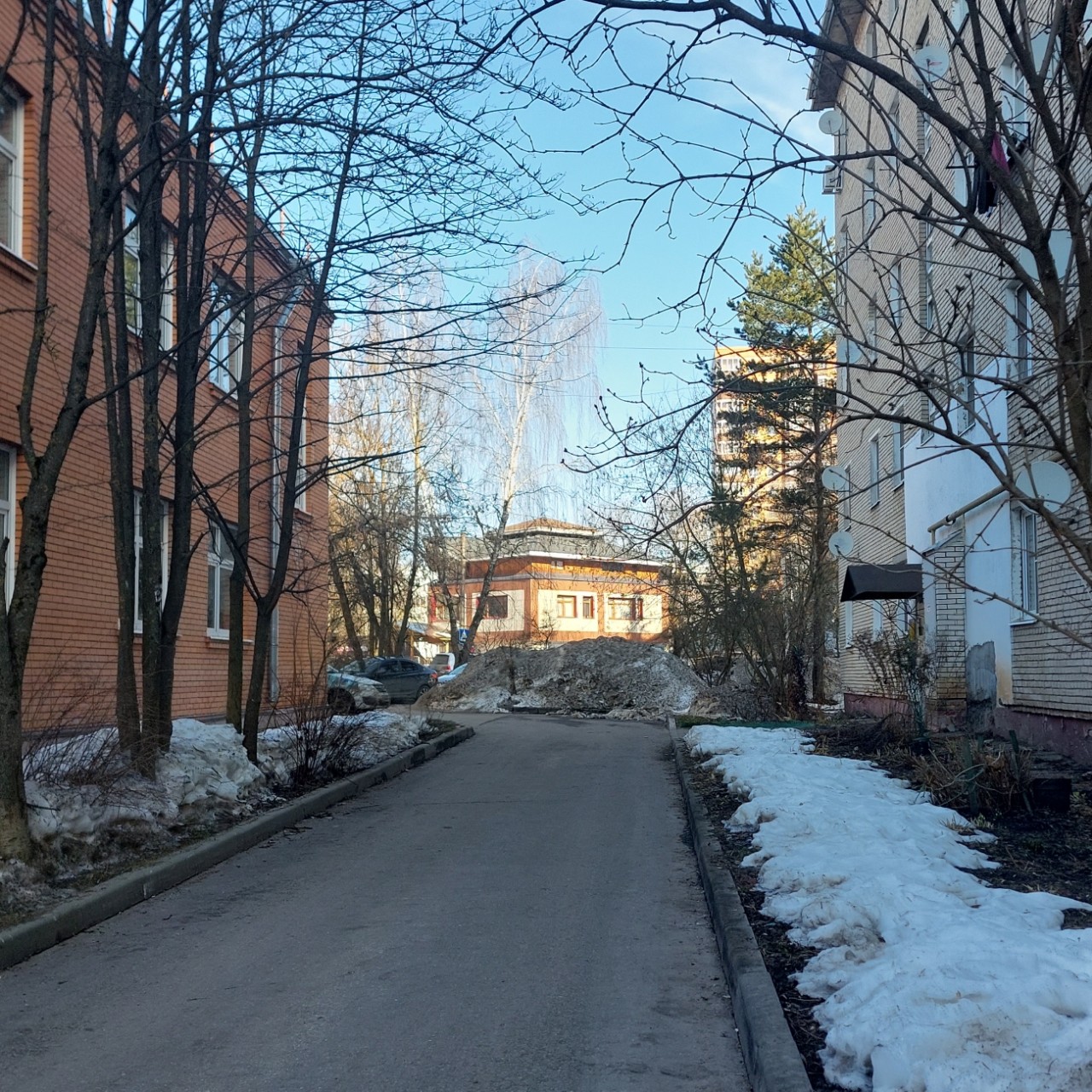 Галина Венн в LOOKY — фото 5