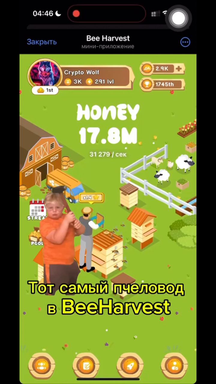 BeeHarvest Ambassador в LOOKY. #beeharvest,#bee_harvest,#harvest,#bee,#game,#rec. BeeHarvest - Новая и...