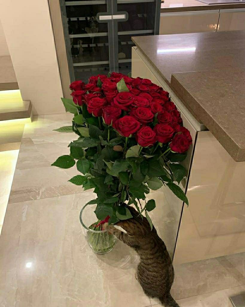ruamazonka в LOOKY. #amazonkaflowers,#amazonkamimi,#amazonkaaesthetic. #amazonkaflowers 🌹 ...