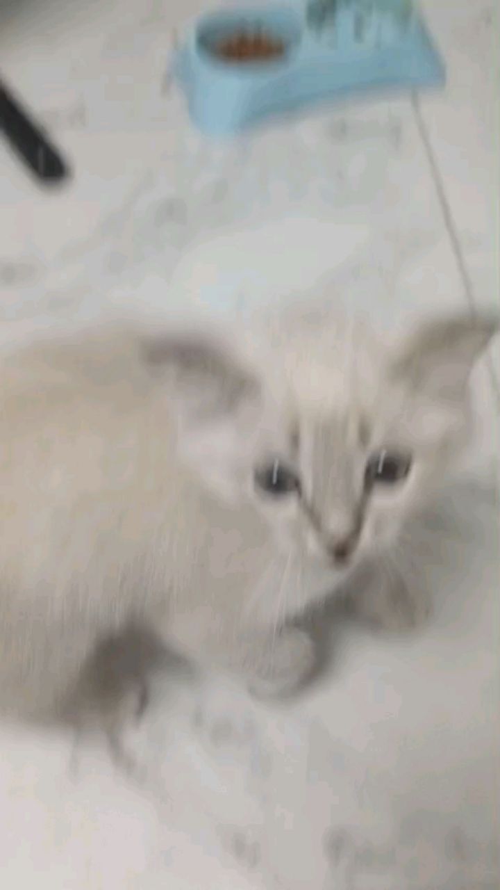 milashka in LOOKY. . Смотреть со звуком))...