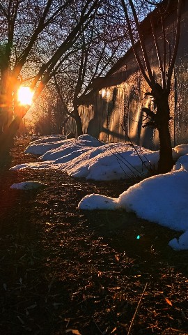 ingarkalife в LOOKY. . 