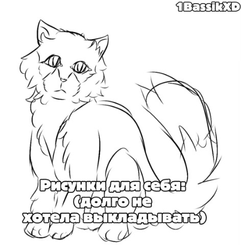 Bassie_ARTs в LOOKY — У меня в основном подписчики заказы берут.(И то,из другой со