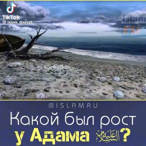  в LOOKY — публикация