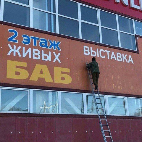 Natali55 в LOOKY. . 