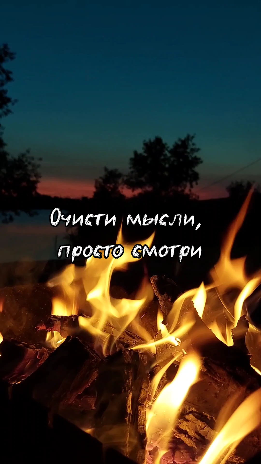Автобродяги in LOOKY. #автобродяги,#природа. Это можно делать веч...
