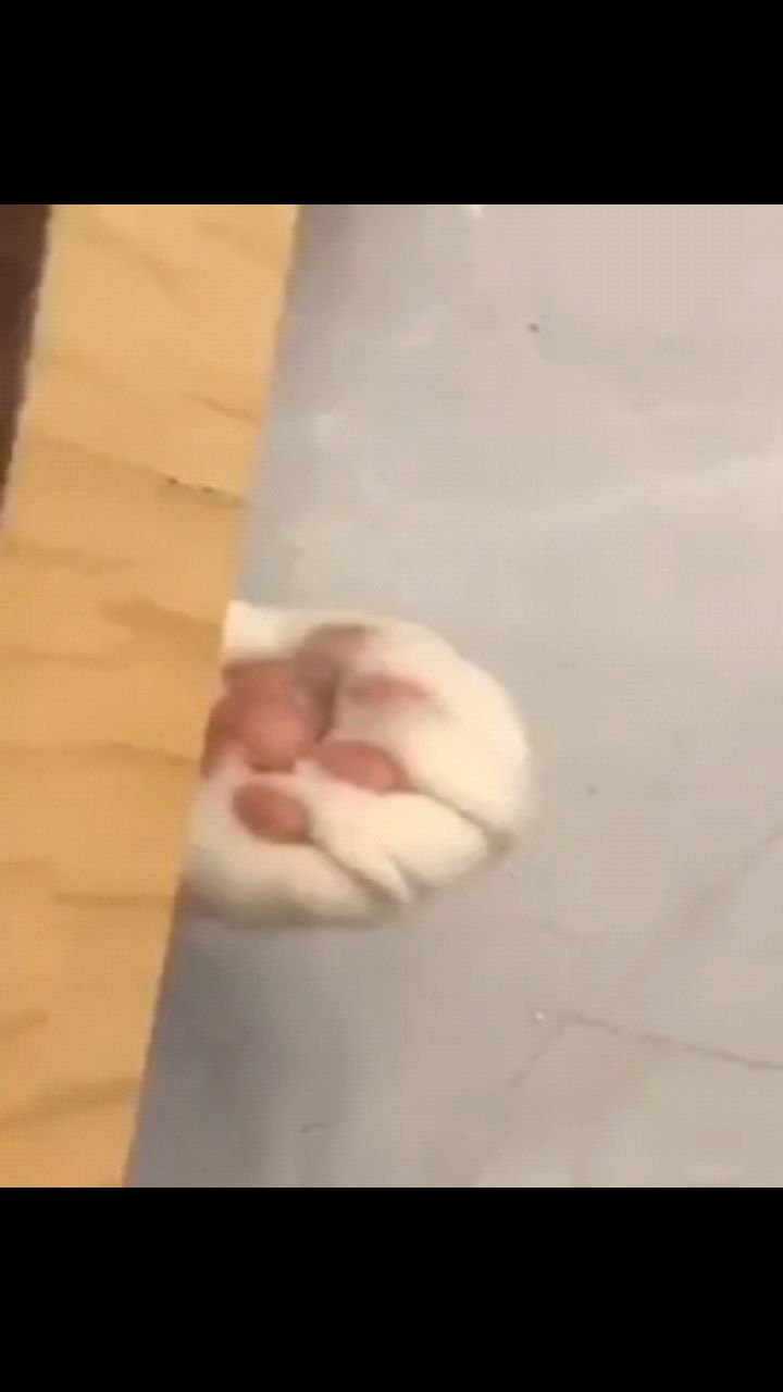 fuuny в LOOKY. . Копилка