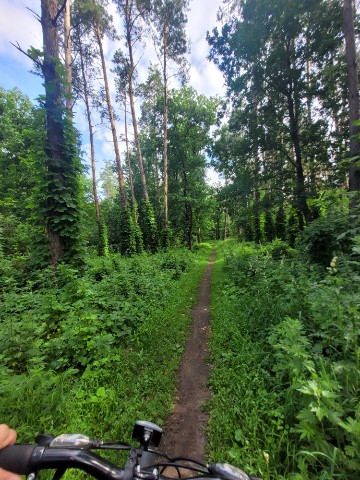 Елена Позднякова в LOOKY. #YASNO,#Ясно,#самопознание,#новоеВремя,#внутренняяОпора,#осознанность. «А что, если сейчас ...