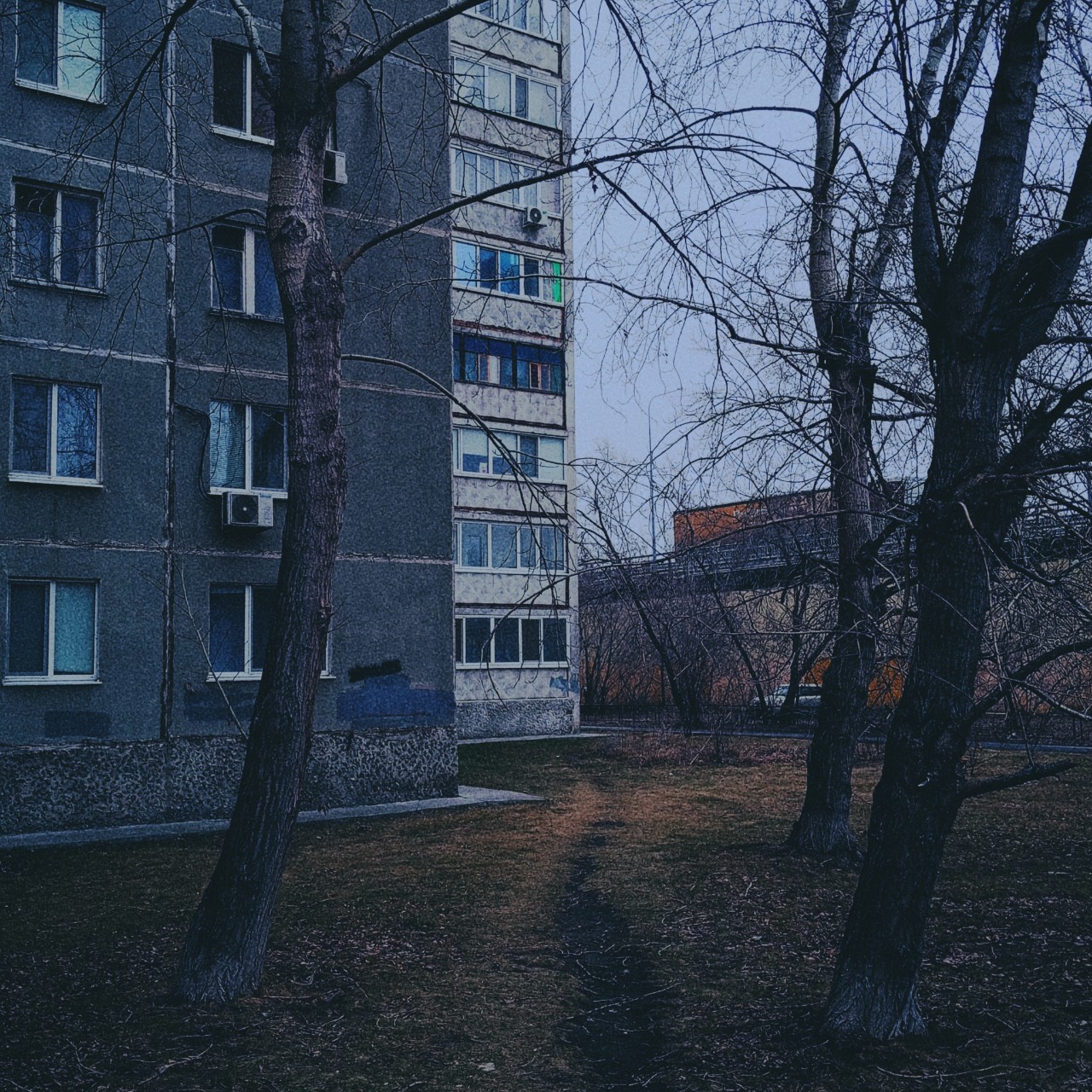 tolyan_samizdato в LOOKY — #панельки [#doomer](doomer) 