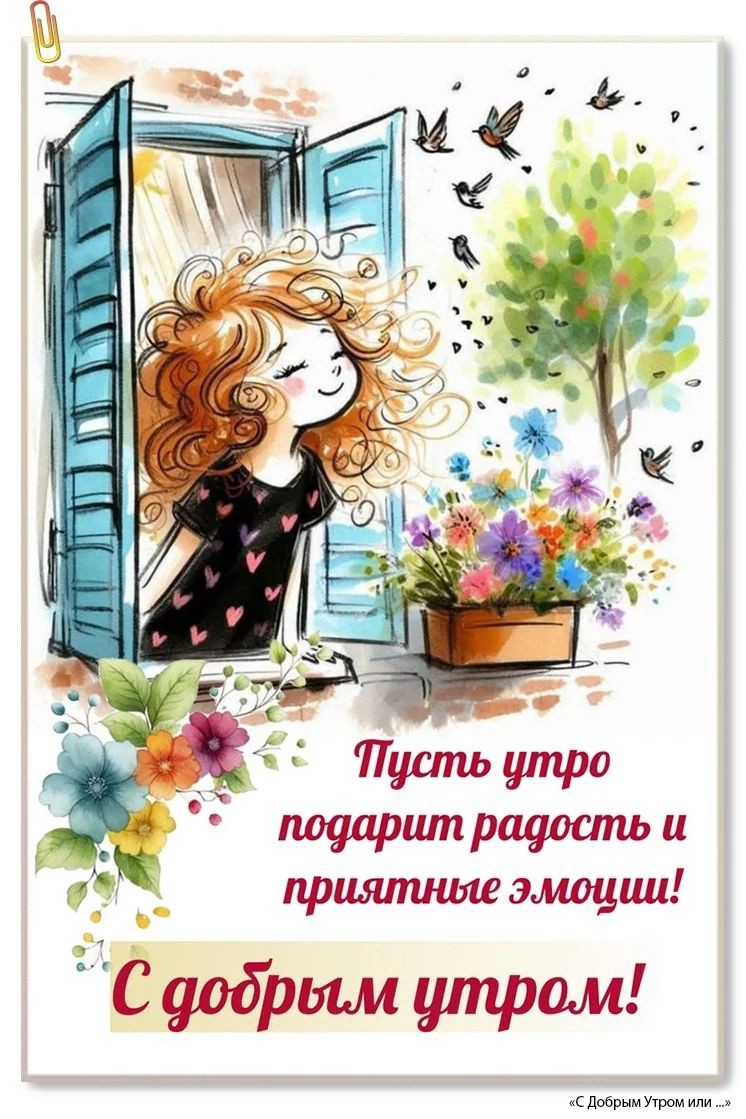Сириус в LOOKY — публикация