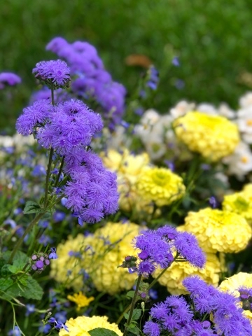 Nellya в LOOKY. #природа. #природа [#мойвзгляд...