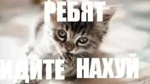 Looky_1696428818431 в LOOKY. . ребята идите нахуй#p...