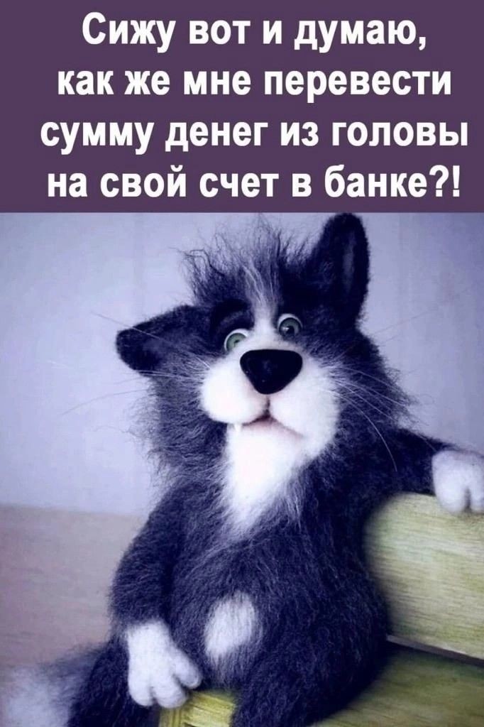  в LOOKY — #жизнь