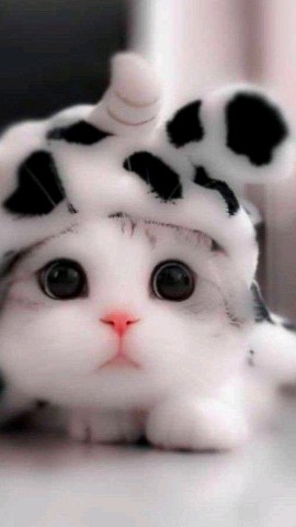 Looky_1699814446285 в LOOKY. . 