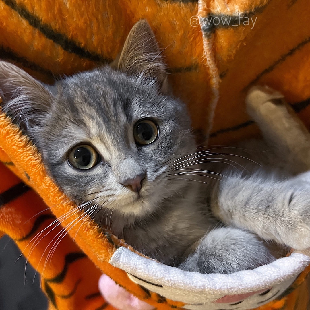 wow_fay в LOOKY — С пятницей нас! А еще сегодня 5 мая, в России отмечается Ден