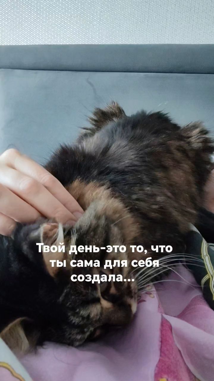 marina_tanaeva_ в LOOKY — публикация