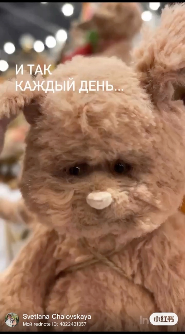 Светлана Чаловская в LOOKY. . 