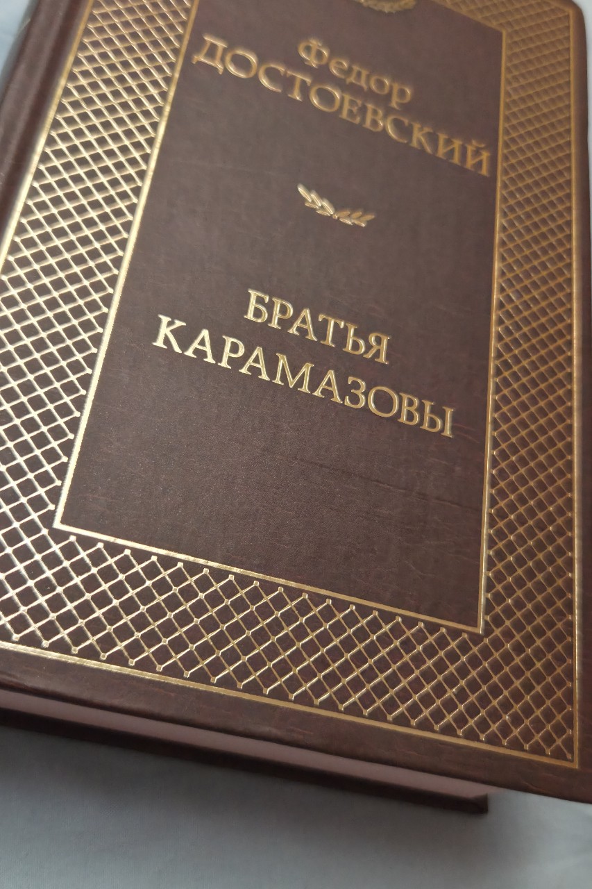 Начала читать Братьев Карамазовых.
Давно хотела прочесть но всё никак 🤷‍♀️