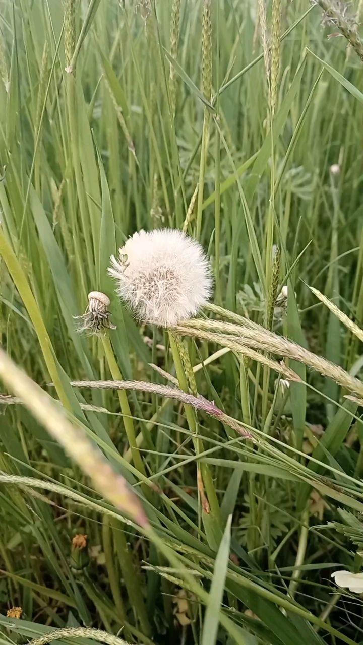 Мари Жукова в LOOKY. . Релакс для глаз 🥰