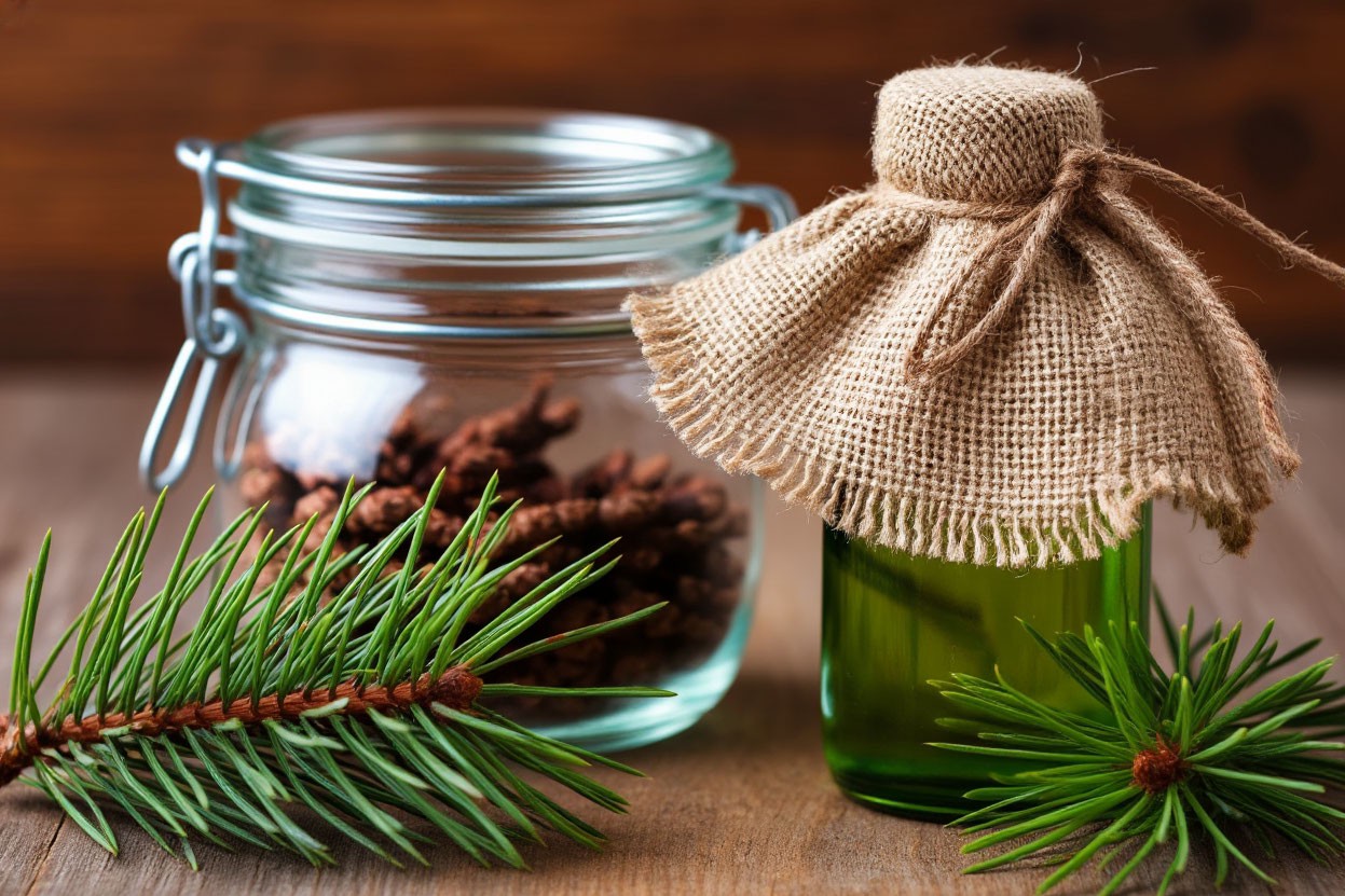 MicroGreens from Ladymari в LOOKY. . 🌲 ЭПИДЕМИЯ УСТАЛОСТ...