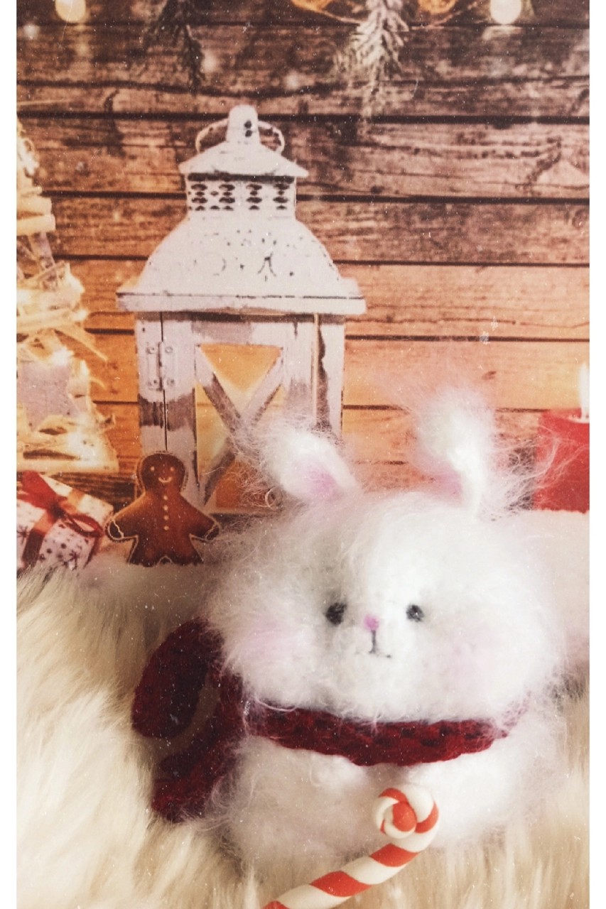  в LOOKY — 🌲🎁⭐⛄💕🌲🏂
❄#амигуруми#amigurumi#куклакрючком#подарок#зайк