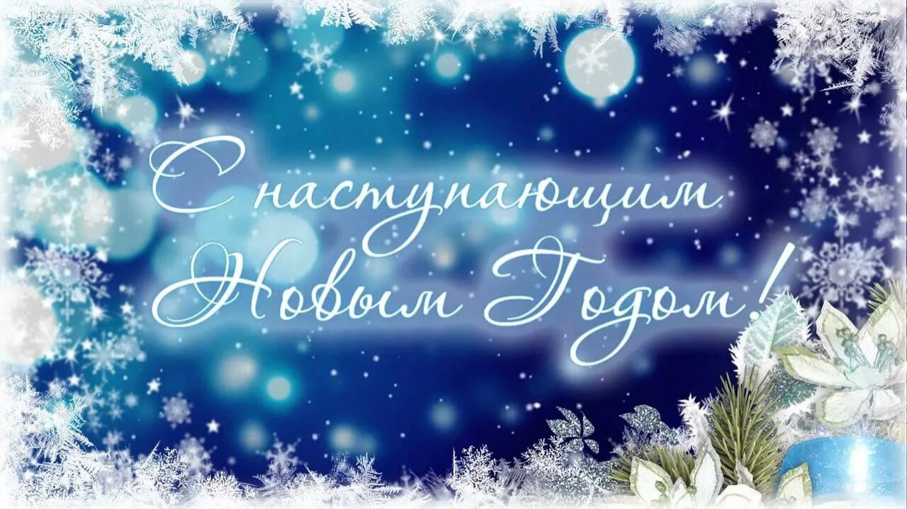 Людмила in LOOKY. . 