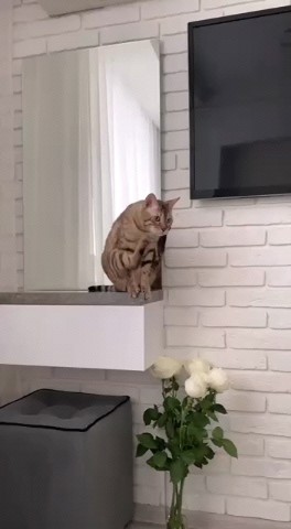 LILITH в LOOKY. . Какой же лапой почес...