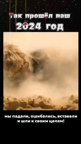 alenasvecha в LOOKY. . Да да, именно так, с...