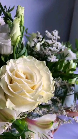  в LOOKY — 🌞🧡🍁 С ДОБРЫМ УТРОМ МОИ ДОРОГИЕ ДРУЗЬЯ ПРЕКРАСНОГО ВАМ НАС