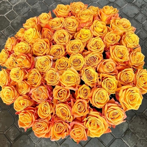 nikolai_flowers в LOOKY. #шахтыцветы,#шахтырозы,#цветышахты,#розышахты,#цветывшахтах,#дгтушахты,#блокнотшахты,#шахтыгород,#городшахты,#цветывшахтах,#дгтушахты,#блокнотшахты,#шахтыгород,#городшахты,#shakhty,#shachty,#shahty. Розы на любой вкус 
...