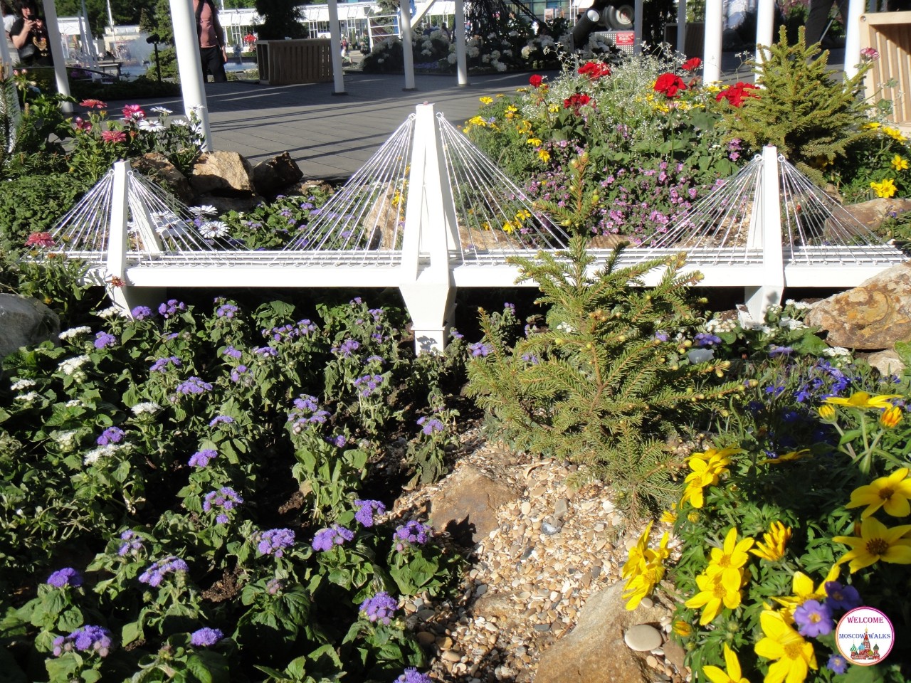 Welcome Moscow walks в LOOKY. #вднх,#цветы,#лето. Будущий мост через р...