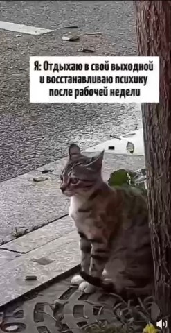 Looky_177752612907663 в LOOKY. . 