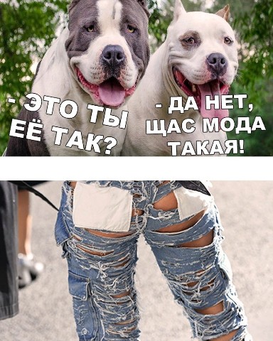 Looky_1692888802428 в LOOKY. . [#смешныевидеоприкол...