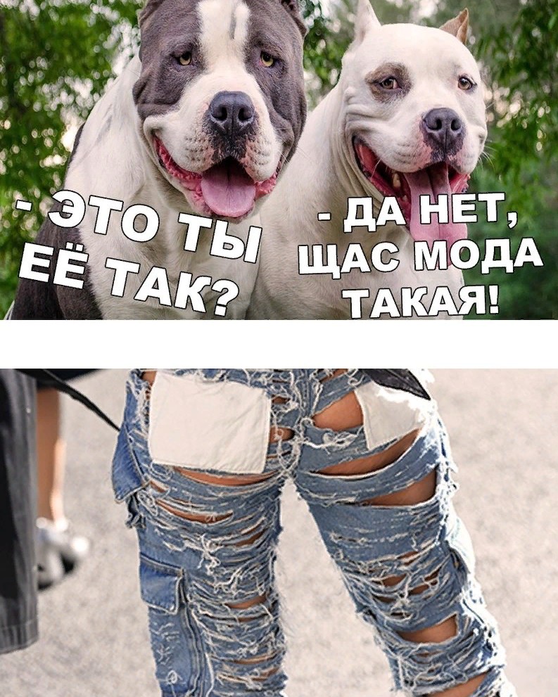 gluk777 в LOOKY — [#смешныевидеоприколы](смешныевидеоприколы) 